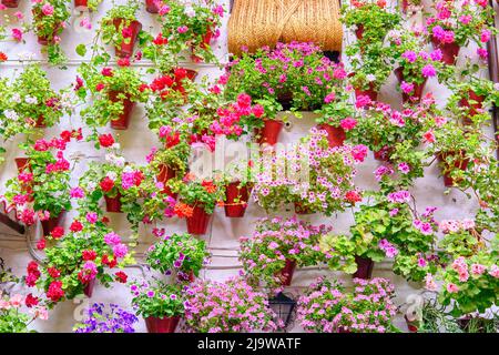 Ein traditioneller Patio von Cordoba, ein Innenhof voller Blumen und Frische. Ein immaterielles UNESCO-Kulturerbe der Menschheit. Martin de Roa, 7, San Ba Stockfoto