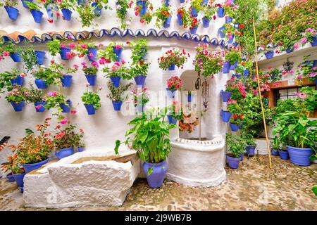 Der Brunnen, seit Jahrhunderten das zentrale Stück der Terrassen in Cordoba. Ein immaterielles UNESCO-Kulturerbe der Menschheit. Cordoba, Andalusien. Spanien Stockfoto