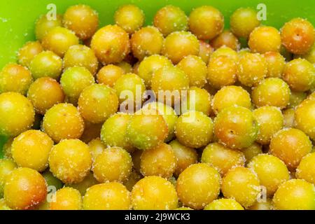 Konservierte Frucht getrocknete Pflaume salzig Süße, sonnengetrocknete und gesalzene Pflaumen für kandierte Früchte. Stockfoto