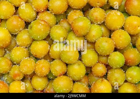 Konservierte Frucht getrocknete Pflaume salzig Süße, sonnengetrocknete und gesalzene Pflaumen für kandierte Früchte. Stockfoto
