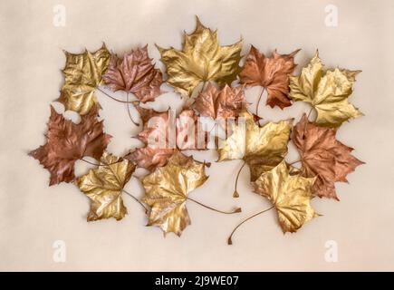 Herbsthintergrund mit Gold- und Kupferherbstblättern in einem Cluster. Isoliert. Auf hellem cremefarbenem Hintergrund. Stockfoto