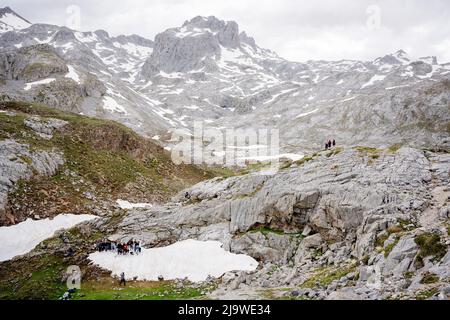 Umgeben von eisigen Berggipfeln versammelt sich eine Schultourgruppe auf einem kleinen Schneefleck für ein Foto in der Nähe der Seilbahnstation in Fuente De im spanischen Nationalpark Picos de Europa, am 18.. Mai 2022 in Asturien, Spanien. Stockfoto