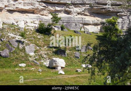 Wunderschöne natürliche Schlucht mit Hügeln, Gras und Bäumen. Atemberaubende Landschaft für den Tourismus Stockfoto