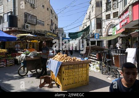 PALÄSTINA, Stadt Jenin, Straßenleben / PALÄSTINA, Stadt Jenin, Straßenleben Stockfoto