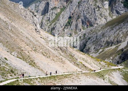 Am 15.. Mai 2022, in der Nähe von Poncebo, Picos Mountains, Asturien, Spanien, führt der Wanderer über den felsigen Weg in der Cares-Schlucht (Rio Cares), einem großen spanischen Wanderziel für Besucher des Nationalparks Picos de Europa. Der als „Göttliche Schlucht“ bekannte Wanderweg 22km erstreckt sich zwischen Caín und Poncebos in Asturien zwischen über 2.000 Meter hohen Bergen entlang der imposanten Schlucht, die vom Fluss Cares geformt wurde. Stockfoto