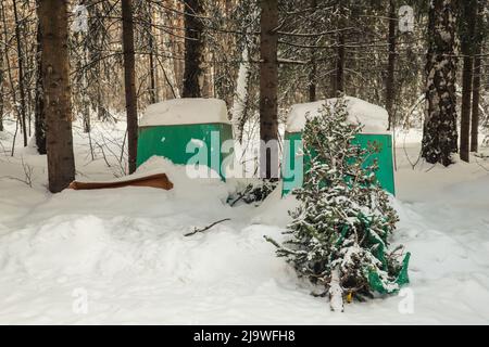 Weggeworfene Weihnachtsbäume in der Nähe von Abfallbehältern in einem Wohngebiet. Nach Weihnachten Stockfoto