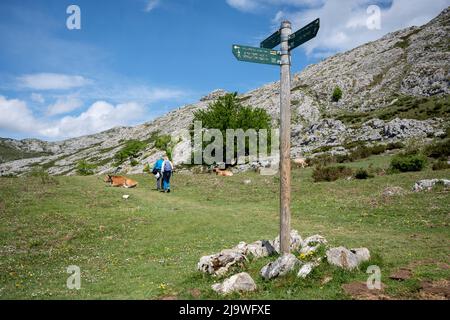 Am 16.. Mai 2022, Covadonga, Picos Mountains, Asturien, Spanien, hinterlassen Wanderer einen Wegweiser in der Nähe des spanischen Sees la Ecina im Nationalpark Picos de Europa. Die Seen Enol und Ercina sind die größten der Seen von Covadonga - zwei benachbarte Gletscherseen auf über 1000 Metern über dem Meeresspiegel. Stockfoto