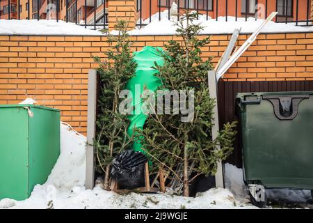 Weggeworfene Weihnachtsbäume in der Nähe von Abfallbehältern in einem Wohngebiet. Nach Weihnachten Stockfoto