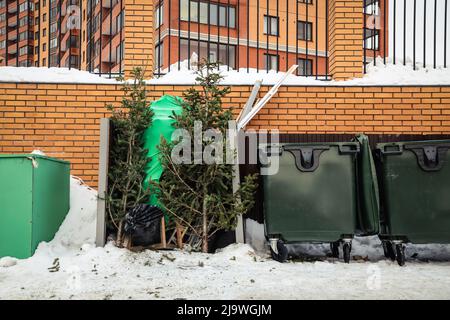 Weggeworfene Weihnachtsbäume in der Nähe von Abfallbehältern in einem Wohngebiet. Nach Weihnachten Stockfoto