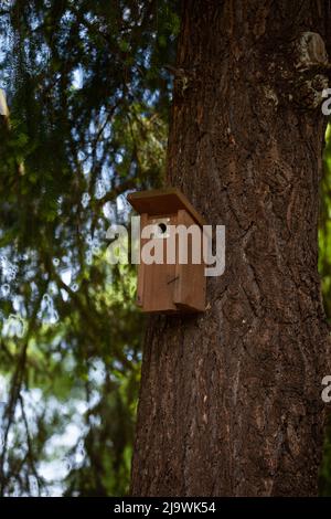 Ein geschlossenes Vogelhaus für kleine Vögel ist am Stamm eines Baumes befestigt. Stockfoto