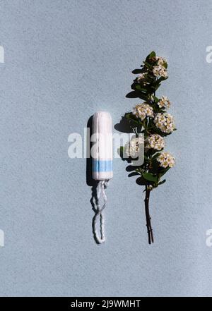 Medizinisches weibliches Tampon und weiße Blüten auf blauem Hintergrund. Hygienischer weißer Tampon für Frauen. Wattestäbchen. Menstruation, Heilmittel. Stockfoto