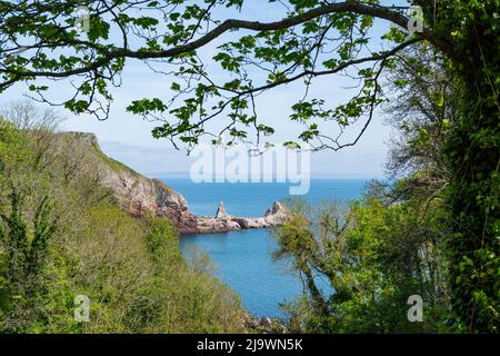 Anstey's Cove in der Nähe von Torquay, Devon. Strand an der englischen Riviera. Stockfoto