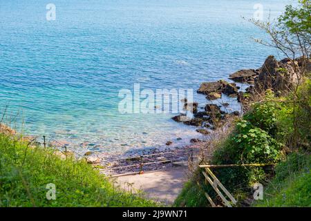 Anstey's Cove in der Nähe von Torquay, Devon. Strand an der englischen Riviera. Stockfoto