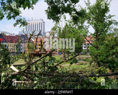 Der Tornado hatte am 20. Mai einen 300 Meter breiten und fünf Kilometer langen Zerstörungspfad durch die Stadt Paderborn verursacht. 43 Menschen wurden verletzt Stockfoto