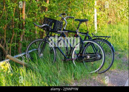 Geparkte Fahrräder bei Sonnenuntergang in Kopenhagen Stockfoto