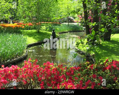 Farbtupfer aus den 7 Millionen Tulpenbirnen, die jährlich im Keukenhof Park in den Niederlanden für eine der größten Blumenschauen Europas gepflanzt werden. Stockfoto