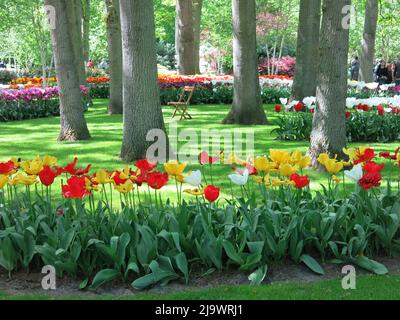 Farbtupfer aus den 7 Millionen Tulpenbirnen, die jährlich im Keukenhof Park in den Niederlanden für eine der größten Blumenschauen Europas gepflanzt werden. Stockfoto