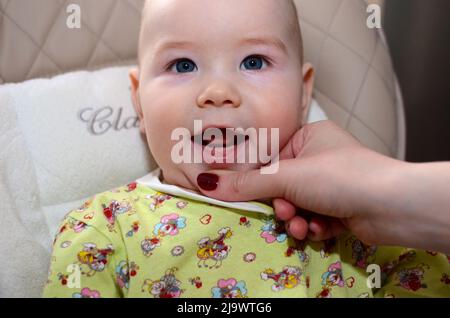 Ein Jahr altes Baby mit zwei ersten Milchzähnen von unten Stockfoto