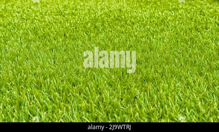 Perfekter grüner Rasen. Nahaufnahme eines Kunstrasenteppichs. Stockfoto