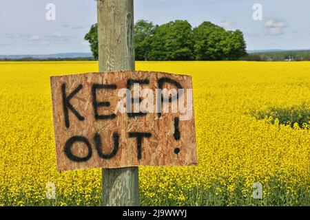 Hausgemachte Keep-Out-Schilder am Rand des Canola-Feldes, um Hausfriedenseintretende zu warnen, draußen zu bleiben Stockfoto