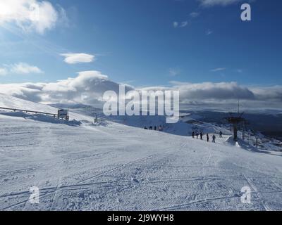 Blick von der Bergstation Ptarmigan über die oberen Skipisten mit dem M1 Poma auf der rechten Seite. Skigebiet Cairn Gorm Mountain. Stockfoto