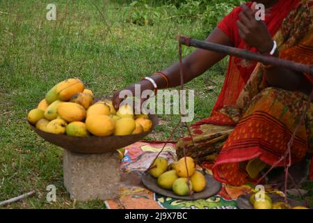 Frau, die frische Mango aus ihrem Garten verkauft. Stockfoto