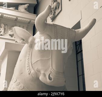 Steinstatue des Stiers, die Hauptstadt der antiken Säule Stockfoto