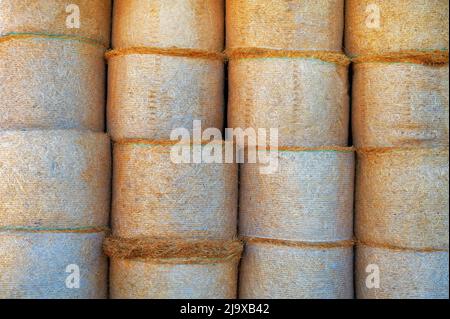 Runde Strohballen, die auf dem Bauernhof gelagert werden. Heurollen als Futtermittel für Rind- und Milchvieh, Schafe und Pferde. Heuhaufen im Herbst machen Stockfoto