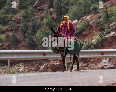 Berberfrau auf einem Esel, Ait Blal, provinz azilal, Atlasgebirge, marokko, Afrika Stockfoto