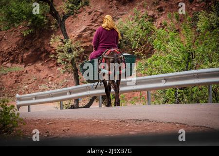 Berberfrau auf einem Esel, Ait Blal, provinz azilal, Atlasgebirge, marokko, Afrika Stockfoto