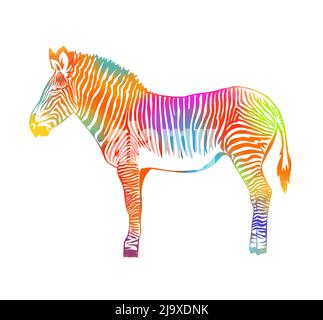 Mehrfarbiger abstrakter Zebra. Vektorgrafik Stock Vektor