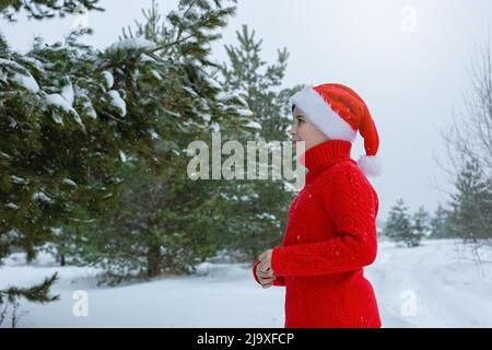 Teenager in einem roten Pullover und einem roten weihnachtsmannhut steht im Winter im Park Stockfoto
