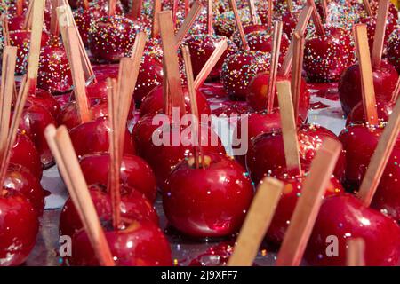 Toffee-Äpfel oder Zuckeräpfel, in Brasilien auch als açãs do amor bekannt, werden traditionell während der Feierlichkeiten des Círio de Nazaré in Belém serviert Stockfoto