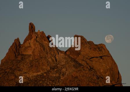 Ein Vollmond über dem verehrten Berg Tetakawi, der am frühen Morgen in San Carlos, Sonora, Mexiko, untergeht. Stockfoto