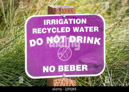 Nahaufnahme von mit recyceltem Wasser bewässert; Schild „nicht trinken“ in einem Büropark in Mountain View; San Francisco Bay; Kalifornien Stockfoto