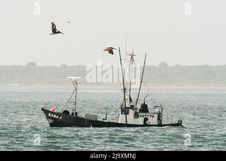 Seitenansicht eines Fischerschiffs in Westport, Washington Stockfoto