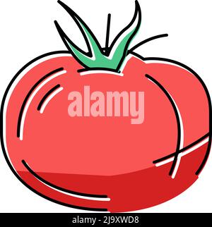 Tomate Vitamin Gemüse Farbe Symbol Vektor Illustration Stock Vektor