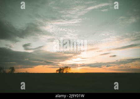 Silhouetten von Bäumen bei Sonnenuntergang. Reise durch die afrikanischen Savannen. Sonnenuntergang in den Wolken. Verwelkter Baum vor dem Hintergrund der Sonne. Trockener Zweig Stockfoto