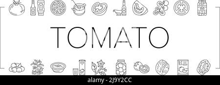 Tomate Natürliches Vitamin Gemüse Symbole Set Vektor Stock Vektor
