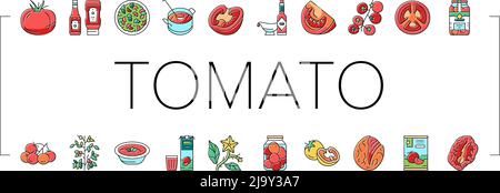 Tomate Natürliches Vitamin Gemüse Symbole Set Vektor Stock Vektor