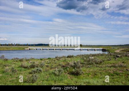 Henry' Fork of the Snake River im Harriman State Park ist ein erstklassiges Angelziel. Island Park, Fremont County, Idaho, USA. Stockfoto