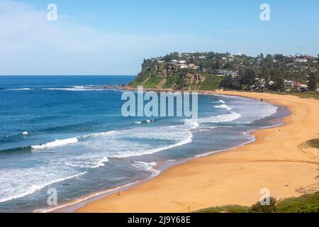 Newport Beach Sydney, Blick Richtung Süden entlang des Strandes an Sydneys Ostküste, NSW, Australien Stockfoto