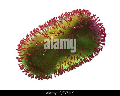 Monkeypox-Virus Nahaufnahme, ansteckender Erreger isoliert auf weißem Hintergrund Stockfoto