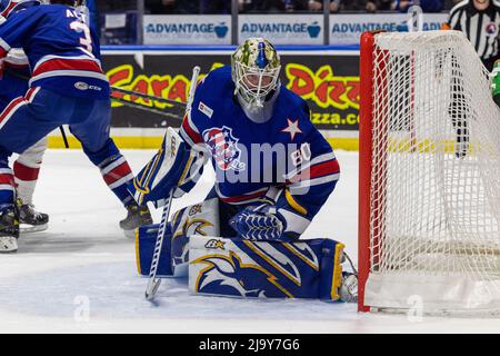 25. Mai 2022: Rochester Americans Torhüter Aaron Dell (80) sucht den Puck in der ersten Periode gegen die Laval Rocket. Die Rochester Americans veranstalteten die Laval Rocket in einem American Hockey League Calder Cup Playoffs-Spiel in der Blue Cross Arena in Rochester, New York. (Jonathan Tenca/CSM) Stockfoto