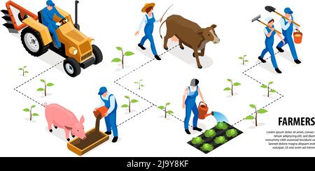 Isometrische Farmer horizontale Infografiken mit Flussdiagramm Zusammensetzung der menschlichen Zeichen Nutztiere und Pflanzen mit Text-Vektor-Illustration Stock Vektor