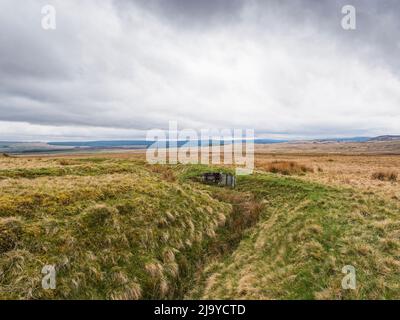 Überreste von WW1 Trainingsgräben bei Silloans, Northumberland, Großbritannien Stockfoto