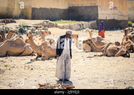 Lokaler eritreischer Mann in traditioneller weißer Kleidung auf dem Kamelmarkt von Keren Stockfoto