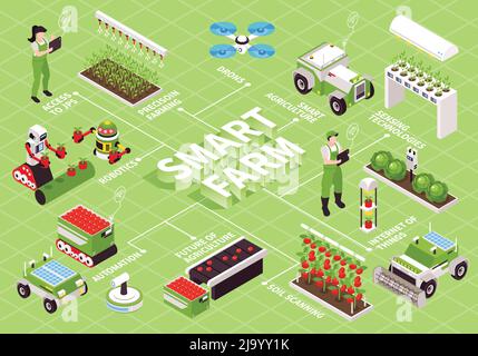 Isometrische Smart Farm Flussdiagramm Zusammensetzung mit futuristischen Pflanzenbetten fliegenden Drohnen Roboter Manipulatoren und Textunterschriften Vektor-Illustration Stock Vektor