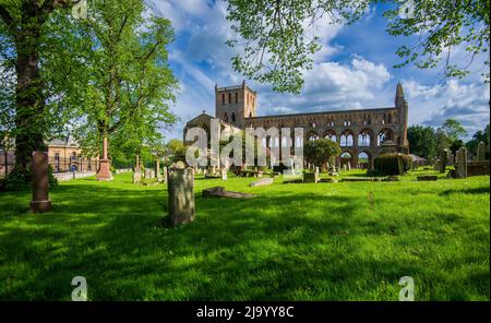 Die Ruinen der Jedburgh Abbey, eines der vier großen Abteien der Grenzen, sind jetzt alle in Ruinen. Stockfoto