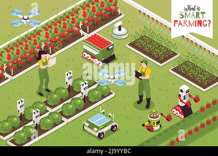 Isometrische Smart Farm Komposition mit Outdoor-Landschaft und fliegenden Drohnen mit Gartenroboter und menschlichen Charakteren Vektor-Illustration Stock Vektor